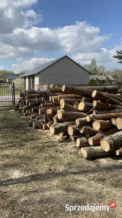 Drewno opałowe Rogóźno-Kolonia