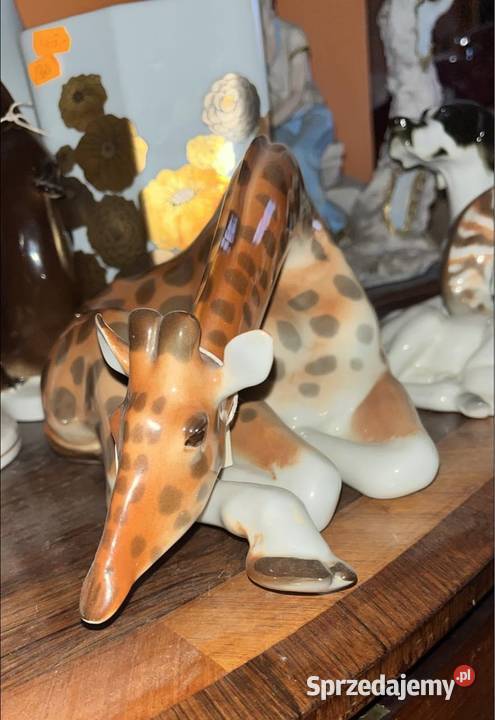 Żyrafa Lomonosov Figurka Leżąca pomorskie Gdańsk