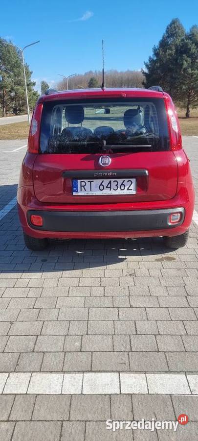 Panda z lpg Tarnobrzeg
