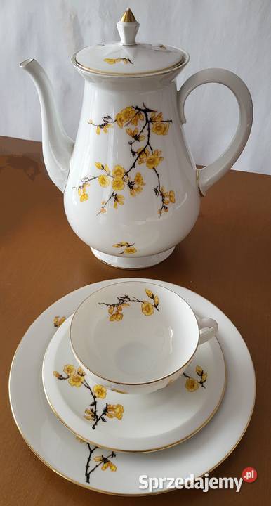 Tettau Bawaria wiekowy serwis do herbaty Szczecin