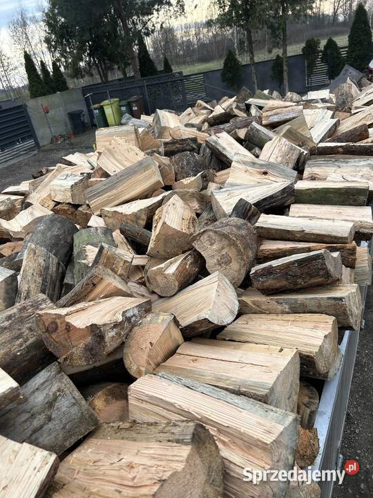 Drewno opałowe Sosna Widawa