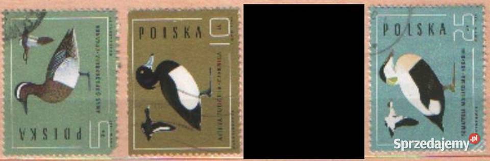 Zn Fi 2813 5 51 2 4 kas 1985 Gliwice sprzedam