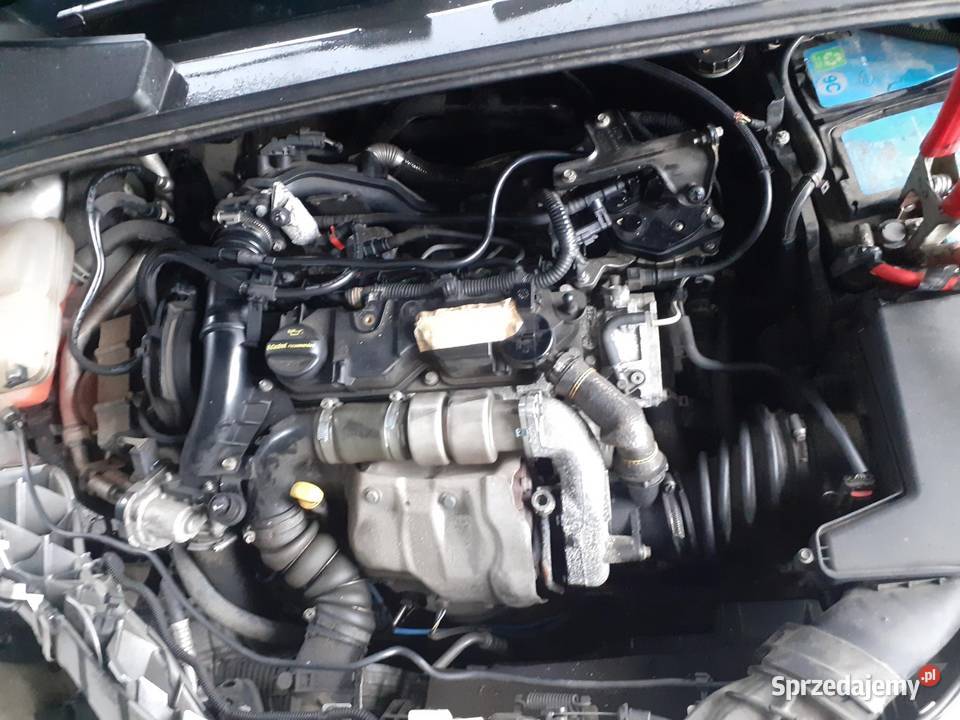 SILNIK FORD FOCUS MK3 III 16 TDCi T1DB 115 Silniki kompletne sprzedam