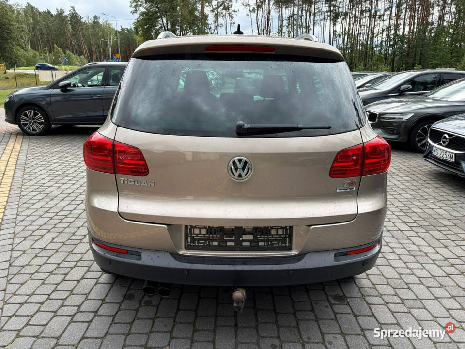 Volkswagen Tiguan 14 TSI 150 SportsStyle I złoty