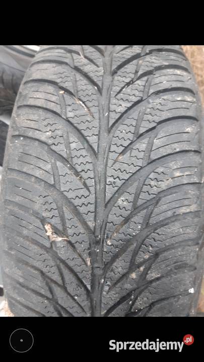 Uniroyal 1620560 pojedyncza około 6mm Kąkolewo