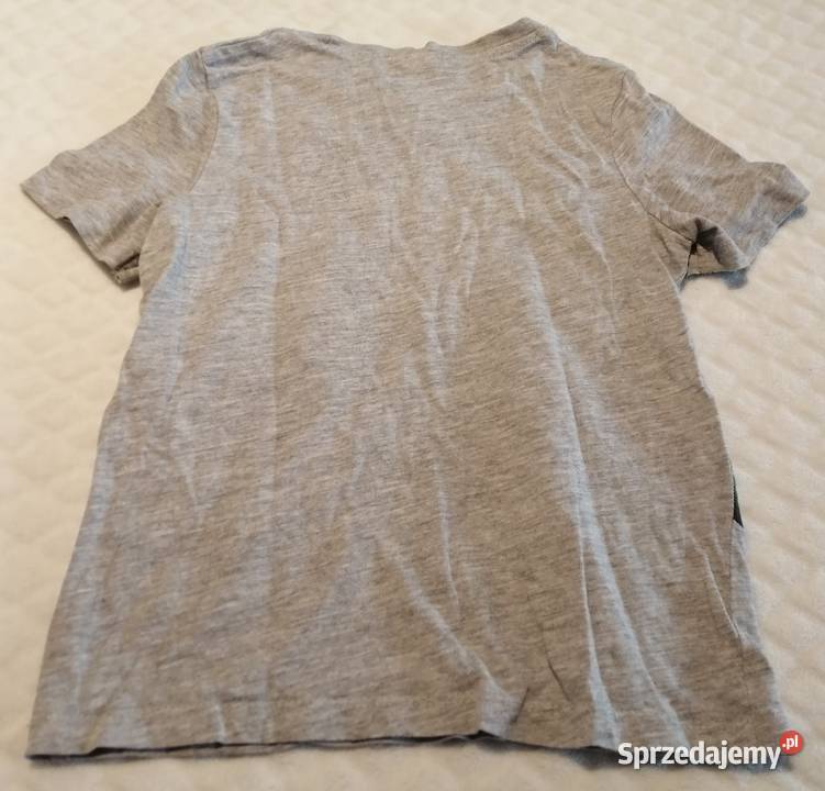 Koszulka krótki rękaw Tshirt dinozaury 116 CA