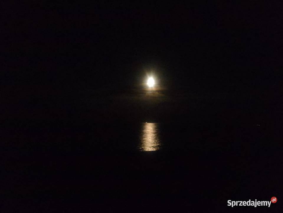 Porady psychologicznie psychotherapia śląskie Żywiec