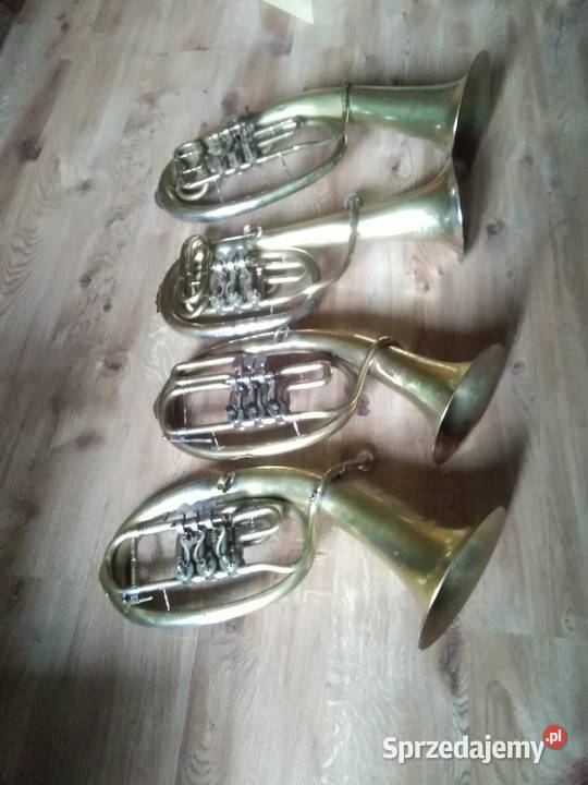 Stary Sakshorn Altowy małopolskie Kraków