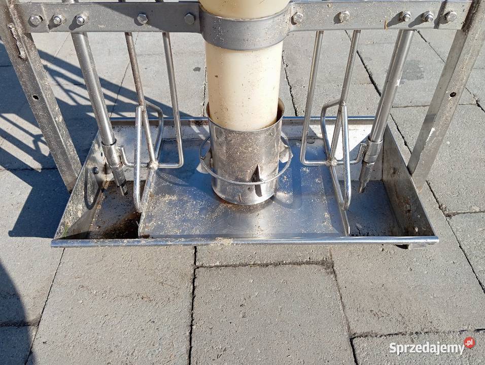 Automat paszowy świń trzoda chlewna śląskie Ornontowice