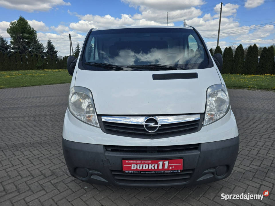 Opel Vivaro 20dci 90KM Kutno sprzedam