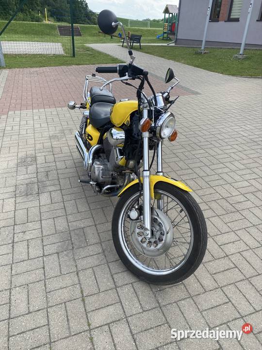 Yamaha Virago 535 Yamaha Pszczew