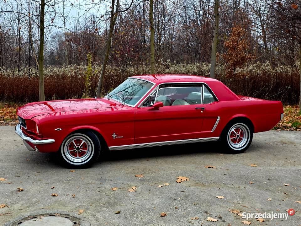 Ford Mustang 47 V8 1965r odrestaurowany Rok produkcji 1965 Motoryzacja Rzeszów sprzedam