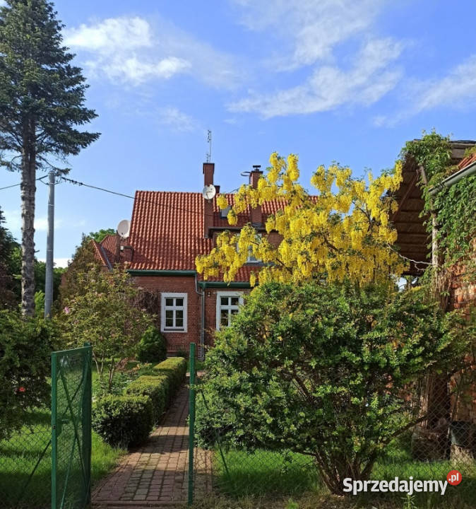 PIĘKNA POSIADŁOŚĆ Zalewem Wiślanym ok ha w 2220m2 Kadyny sprzedam