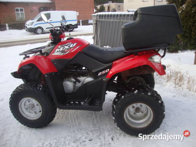 MXU 250 Kymco garażowany Kymco Koteże