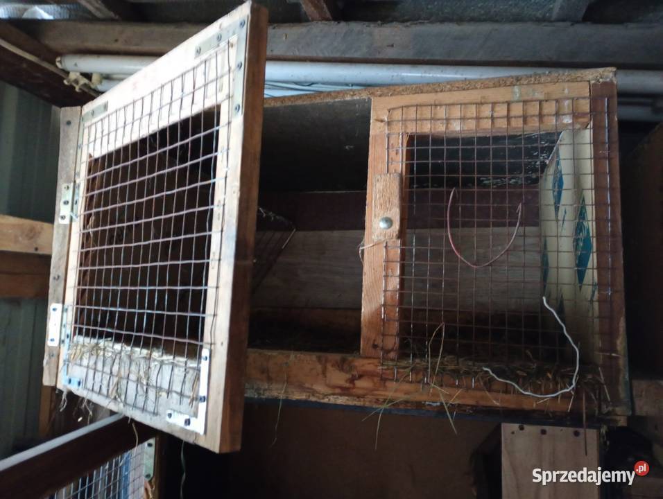 Sprzedam klatki królików sprzedam