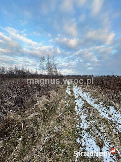 Oferuję działke inwestycyjną w Jerzmanowie Wrocław