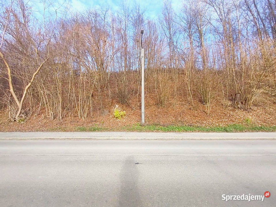 Działka Kazimierz Dolny 16626m2 Sprzedaż lubelskie