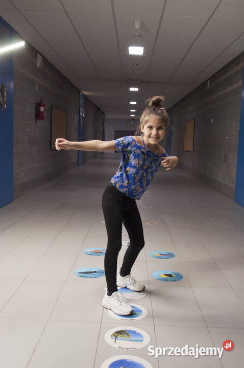 Karaiby ścieżka edukacyjna gry korytarzowe Biznes i Przemysł dolnośląskie Wrocław