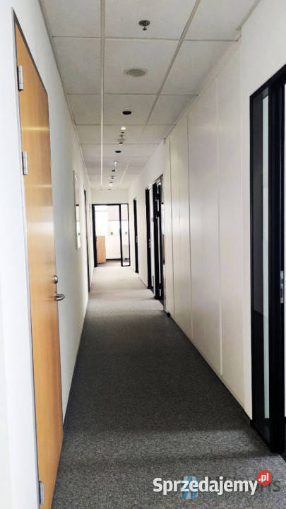 Lokal Warszawa Twarda 350m2