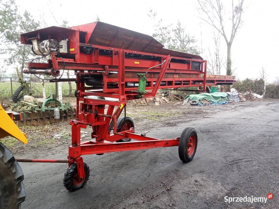 Pryzmownik taśmociąg do warzyw Ostrowąs