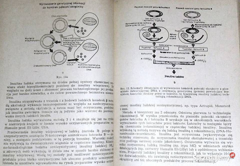 Praktyczna insulinoterapia cukrzycy Jan Tatoń