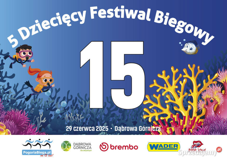 Numery startowe A5 1 pakiet zawody biegi wyścigi Pozostałe