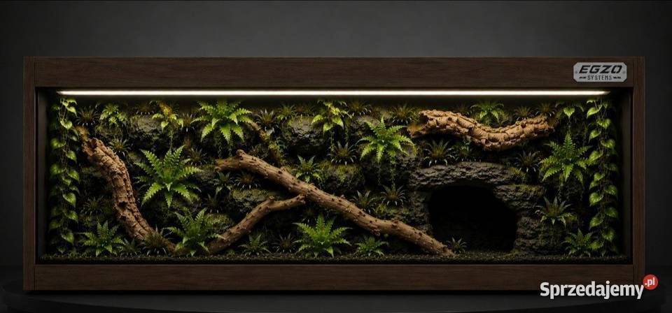 Terrarium kameleona pytona regiusa boa Gorzów Wielkopolski