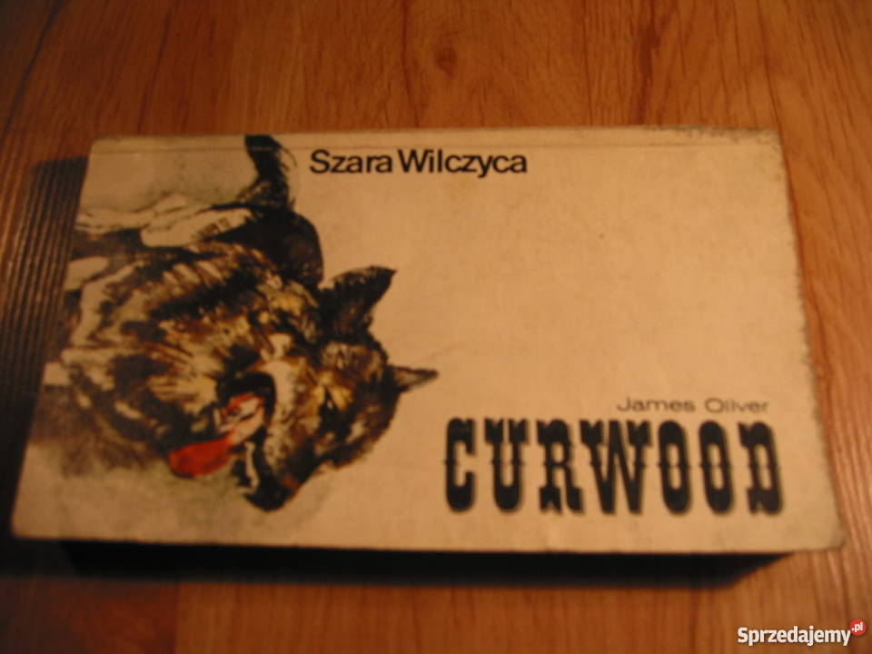 Książki młodzierzy złotówkę sztuki śląskie Gliwice