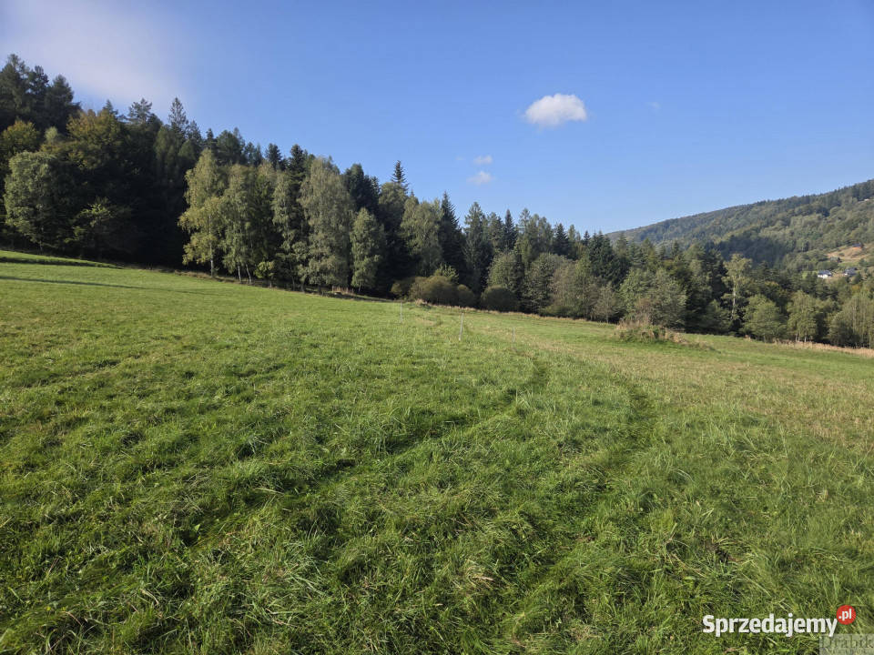 Działka 1550m2 Stryszawa Stryszawa sprzedam