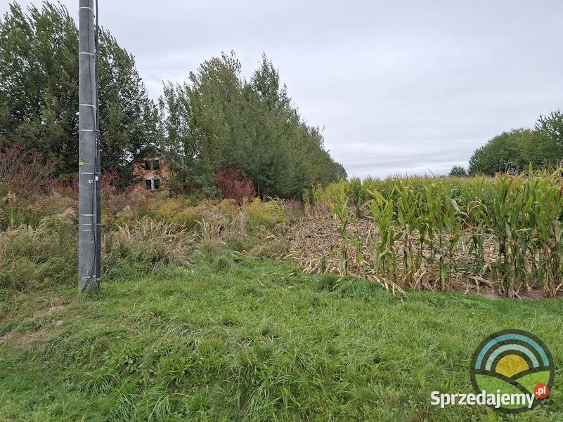 Kobylany gm Zabierzów płaska 35arowa działka sprzedam