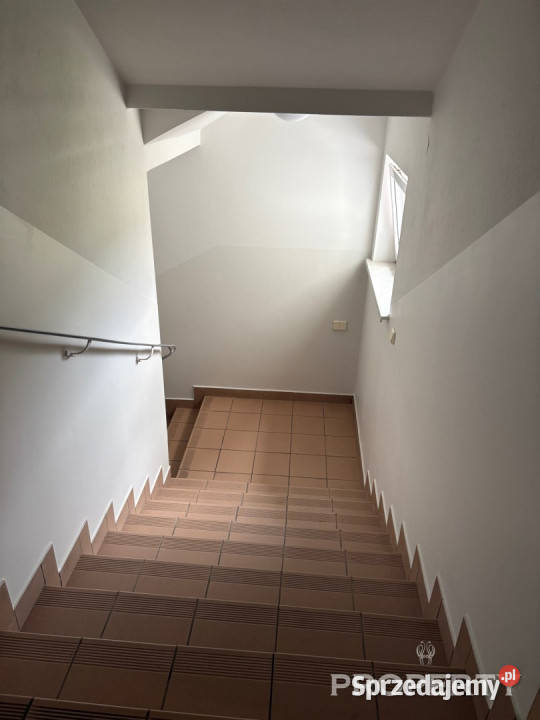 wynajmu mieszkania 3602m 2 pokoje Nowy Sącz Liczba pokoi 2