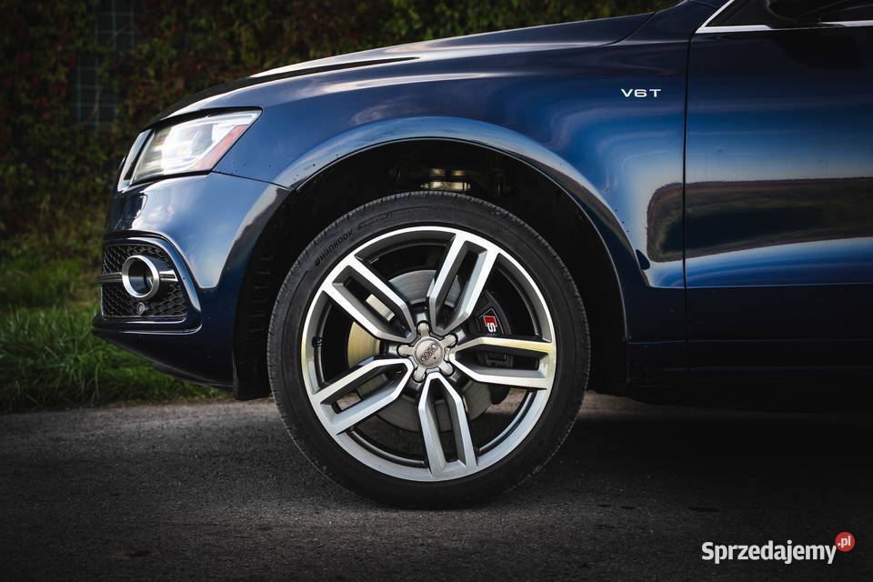 Audi SQ5 30 V6T Premium Plus Piekoszów