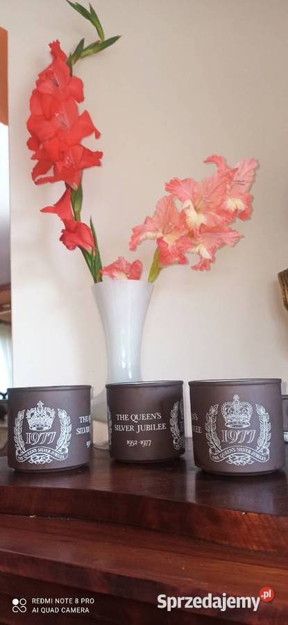 Elżbieta II Kubki The Queens Silver Jubilee