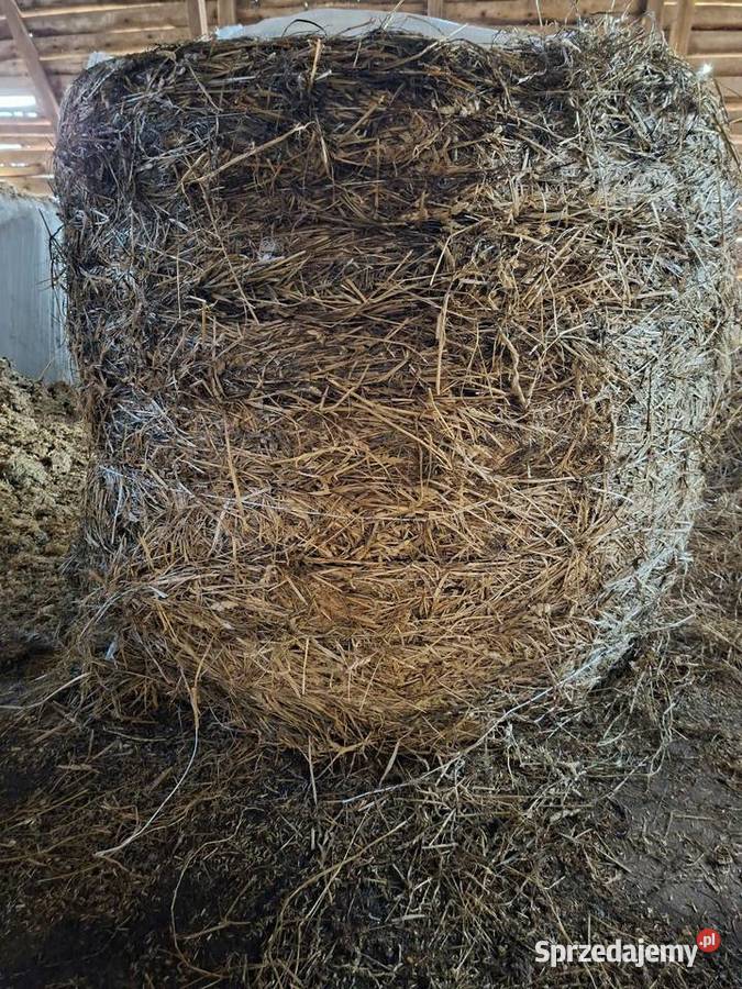 Baloty sianokiszonka Tolniki Wielkie sprzedam
