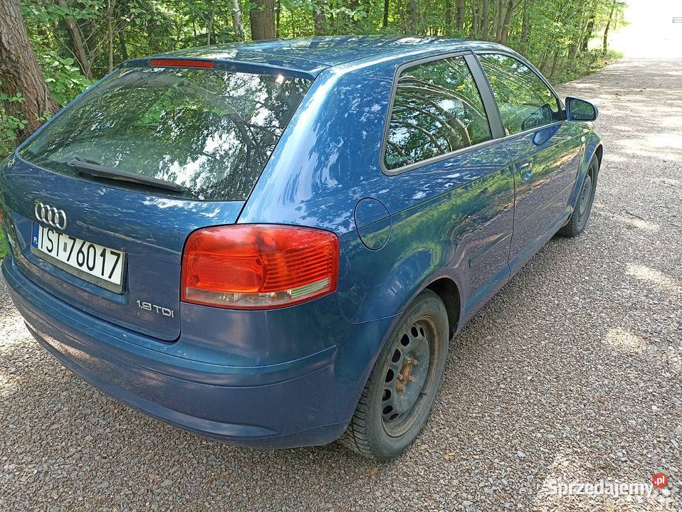 Audi A3 2005 19 TDI OC i PT 012026 Rok produkcji 2005 A3 świętokrzyskie Starachowice