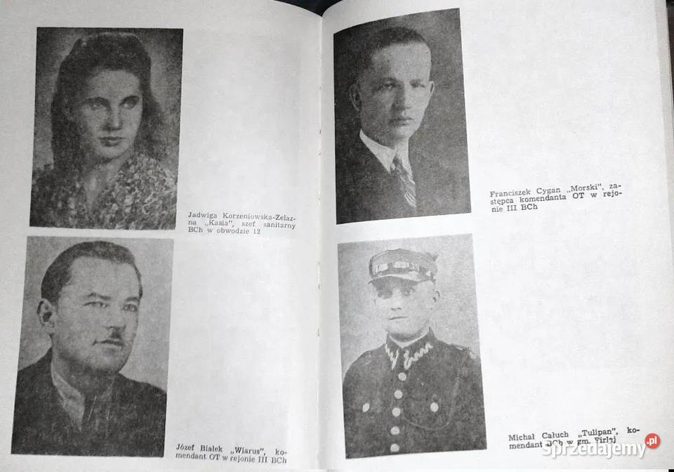 Z konspiracji w Lubartowskiem Wspomnienia Chełm