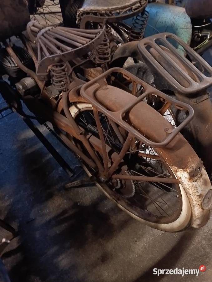 Terrot damka Gostycyn