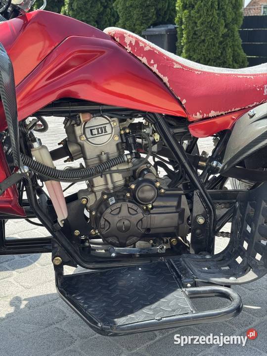 Quad Buganda Jingling czterosuwowy Lasowice Małe