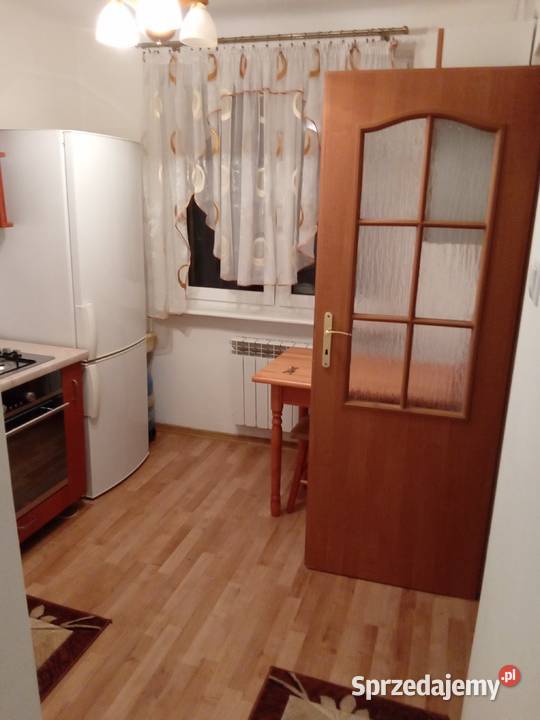 Mieszkanie do wynajęcia Liczba pokoi 1 Zambrów sprzedam