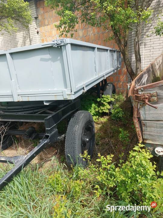 Przyczepa d47 Stara Kornica sprzedam
