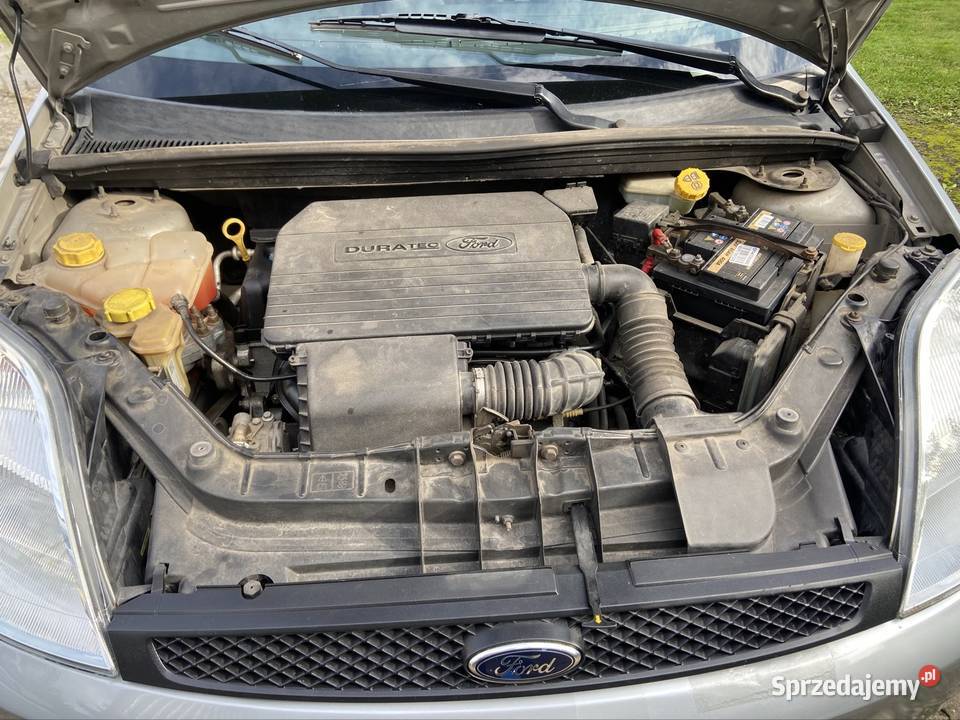 Ford Fiesta z małym przebiegiem 66670 66670km śląskie Rybnik