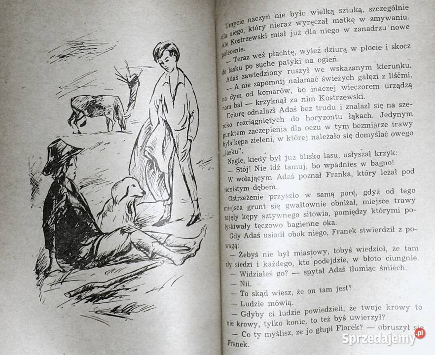 Mały chłopiec na wielkiej drodze Maria Szulecka