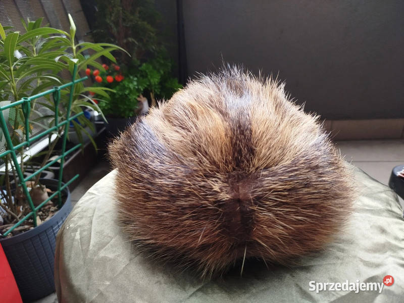 Czapka z futra z nutrii naturalne futro Poznań sprzedam