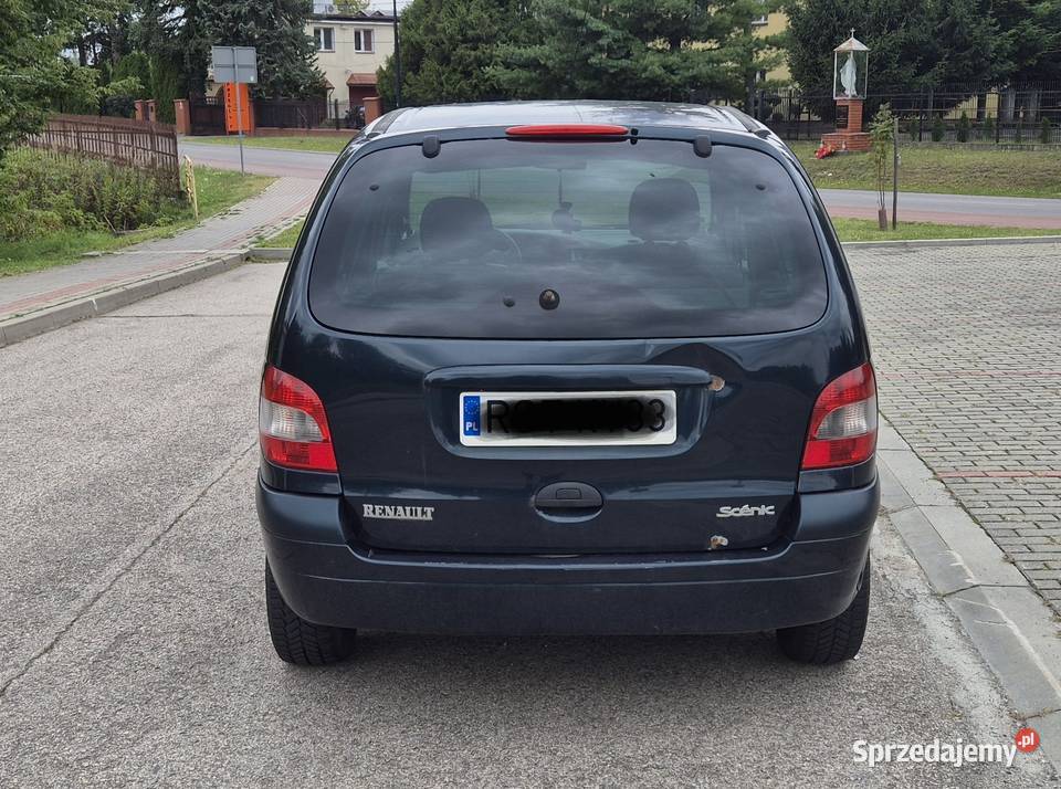 Sprzedam Renault Scenic Skopanie
