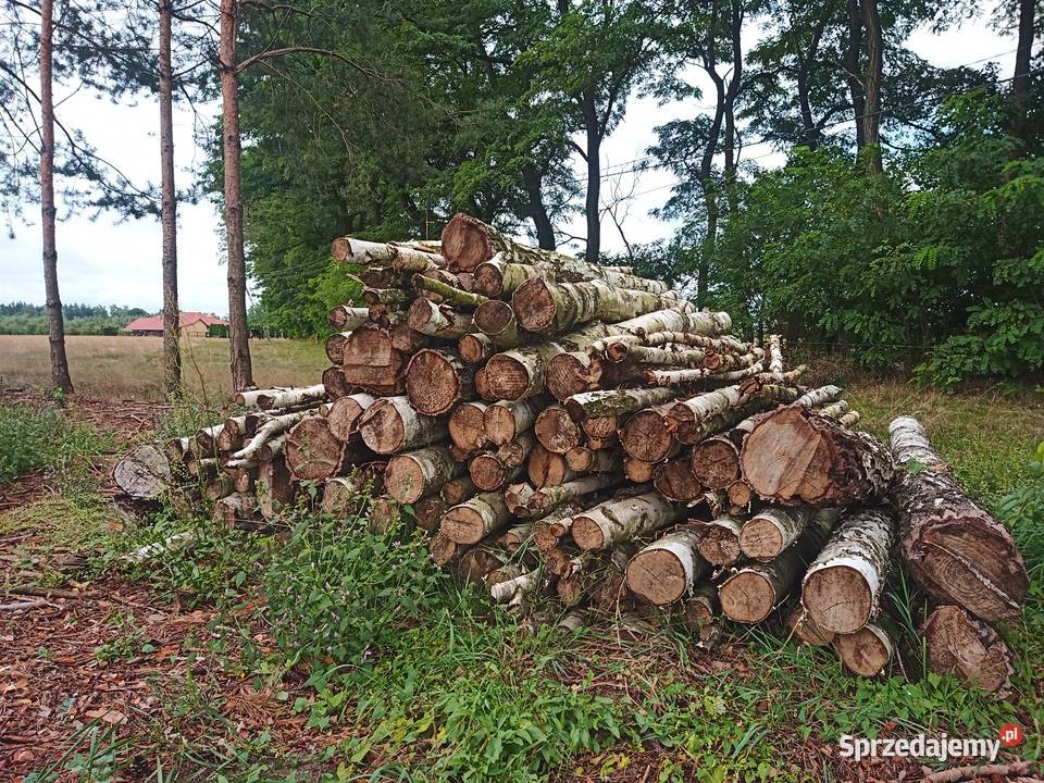 Brzoza sosna akacja wałki drewno suche m3 Wągrodno sprzedam