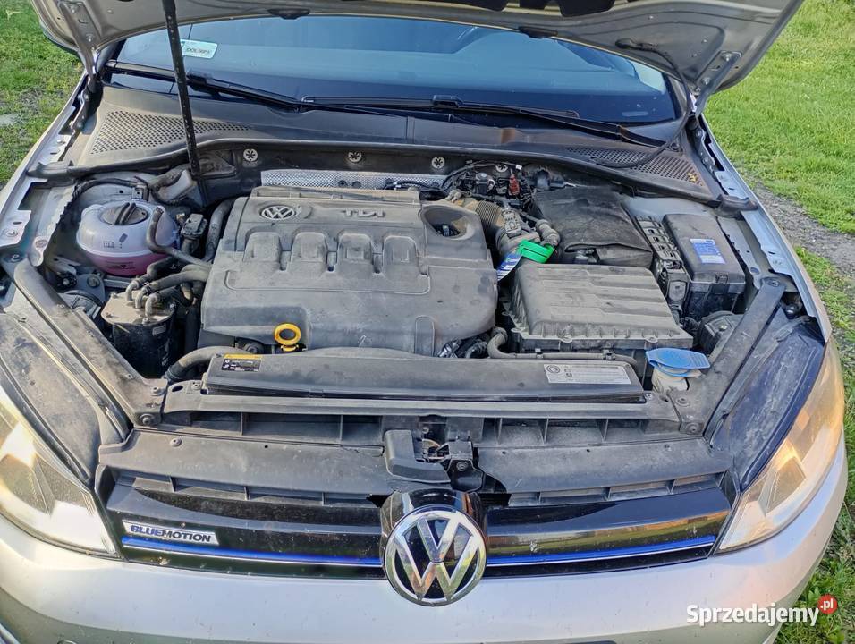 Volkswagen Golf Variant 16 TDI Comfortline Olesno
