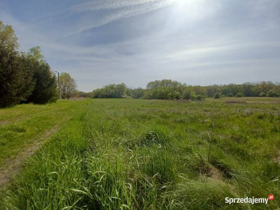 Działka rekreacyjna budowlana Gliniany