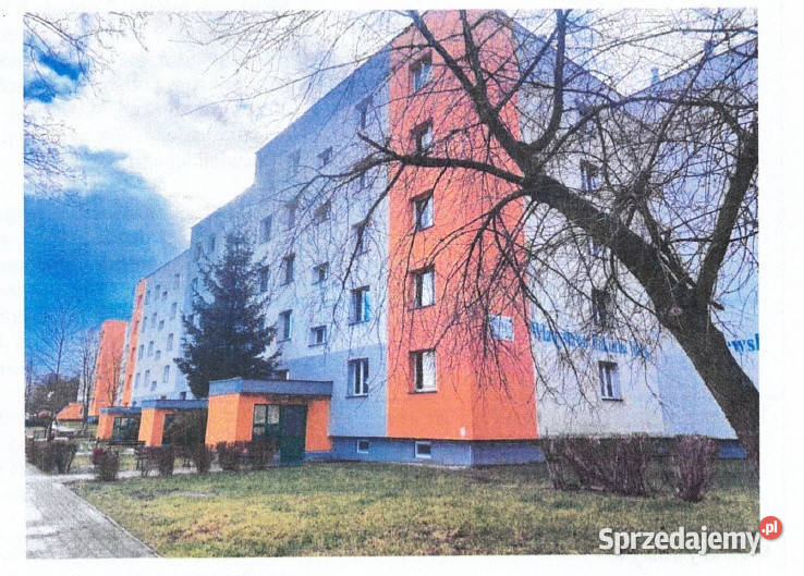 Syndyk sprzeda lokal mieszkalny Sprzedaż Głogów