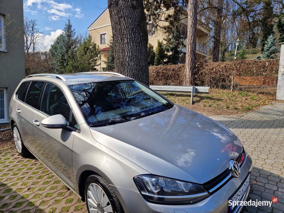 WV GOLFVII Jasienica