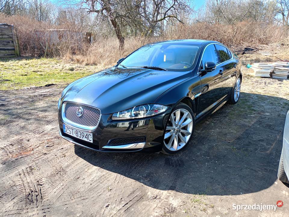 Jaguar XF 30V6D Dobra sprzedam